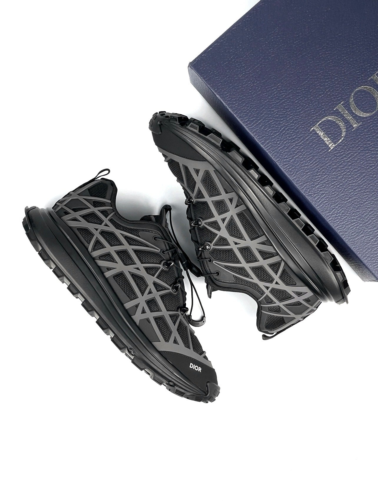 Dior B31