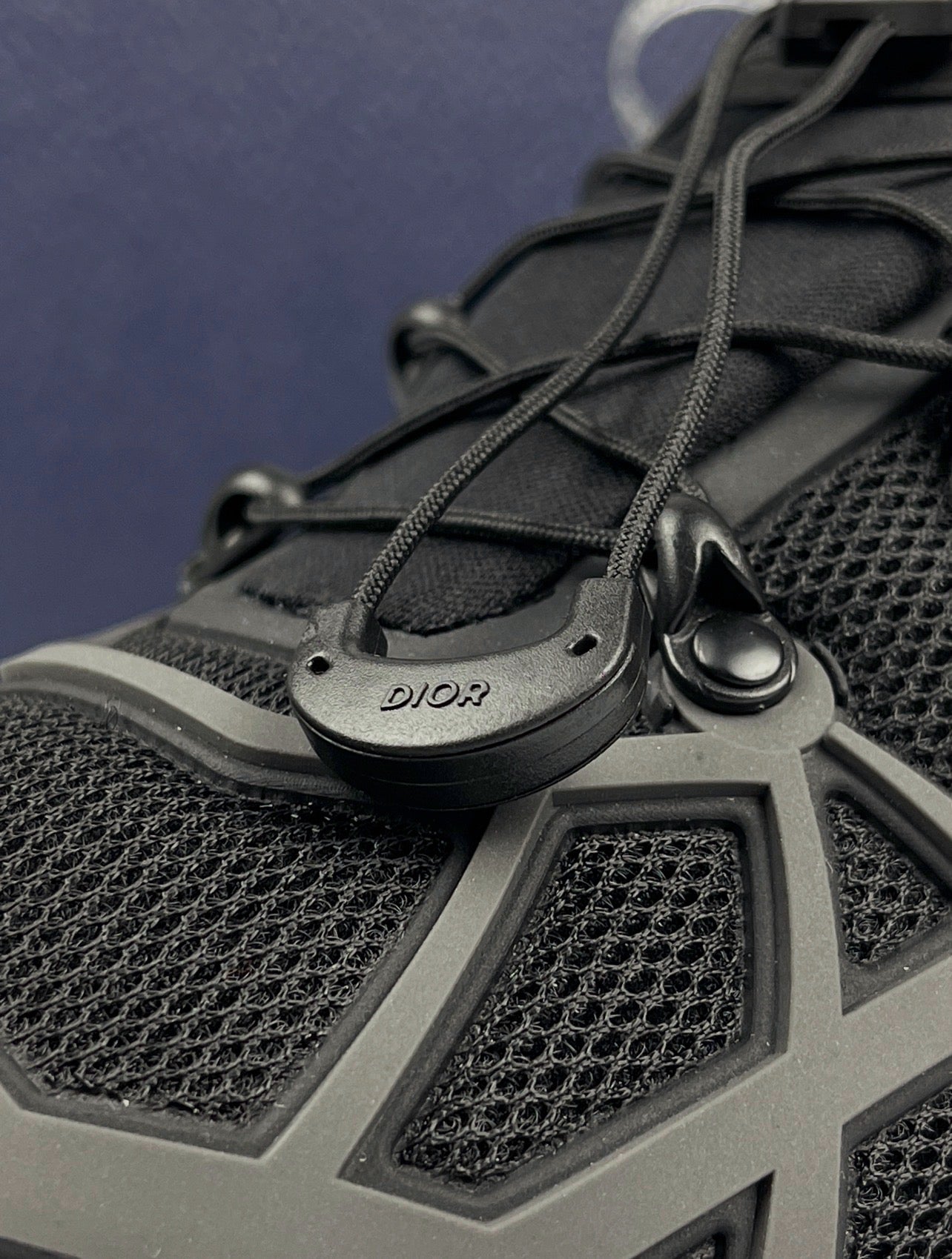 Dior B31