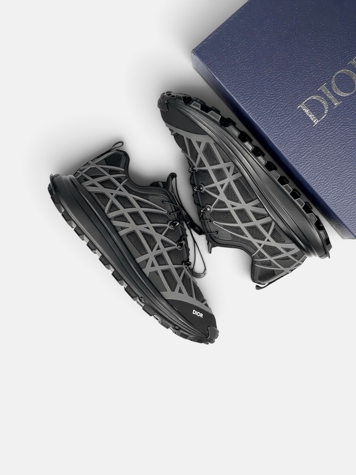 Dior B31