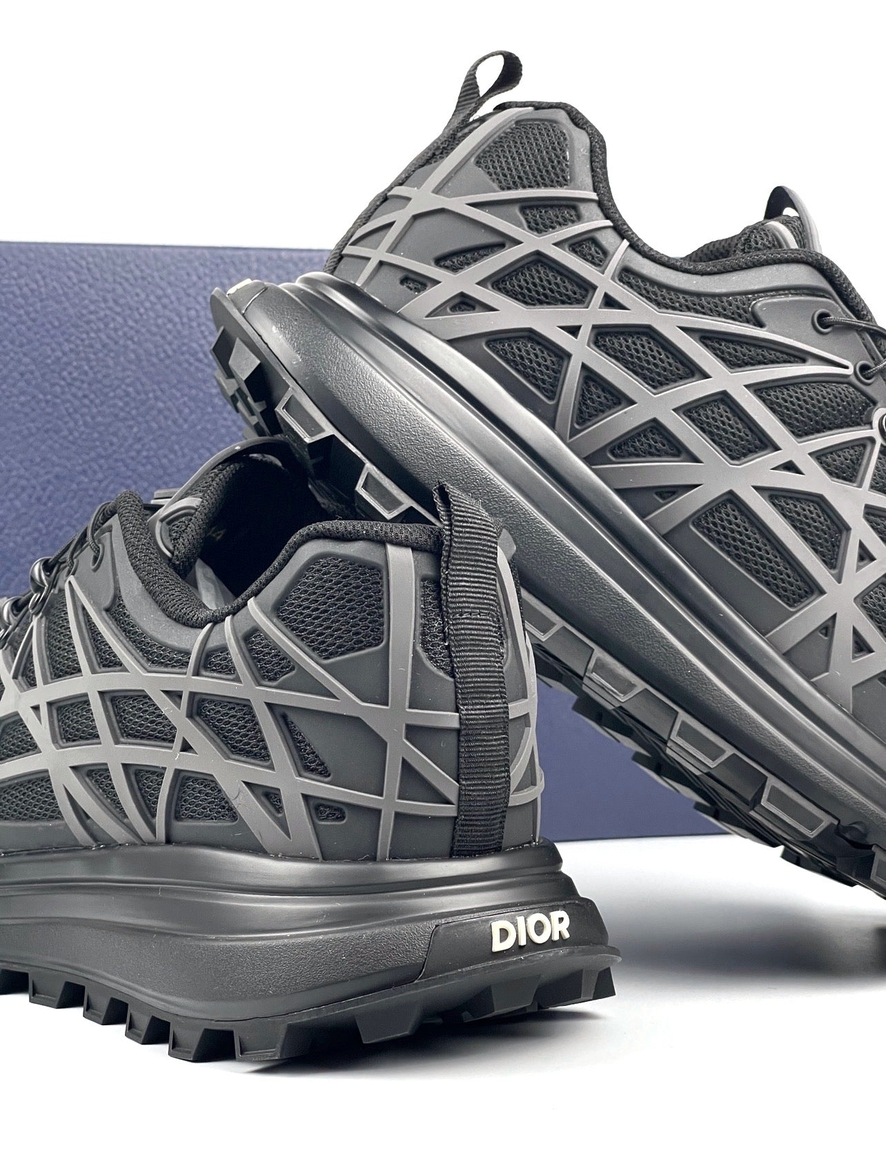 Dior B31