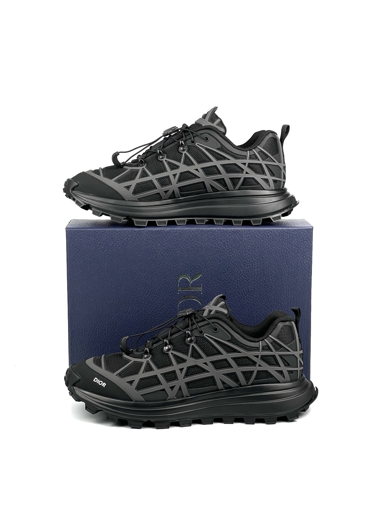 Dior B31