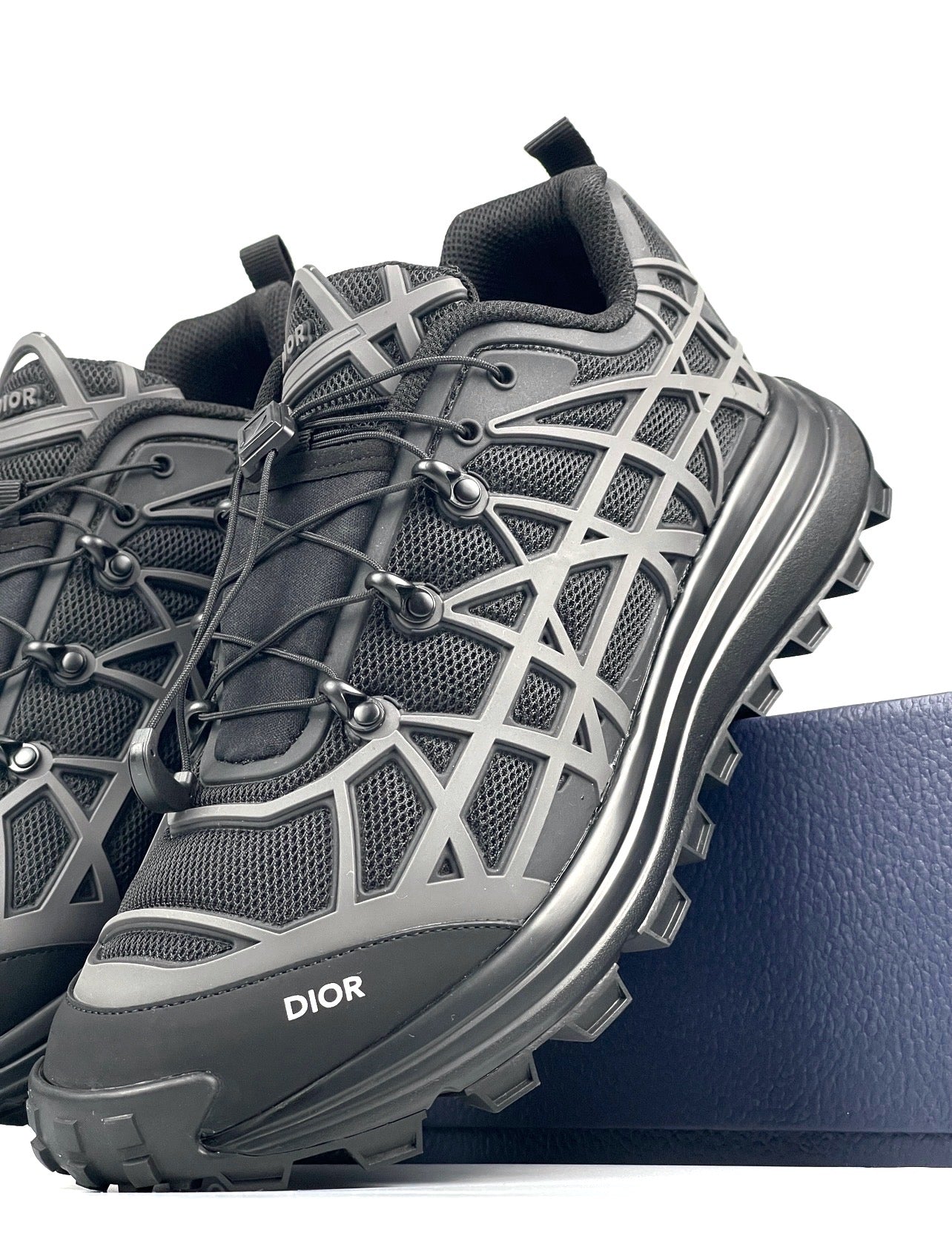 Dior B31