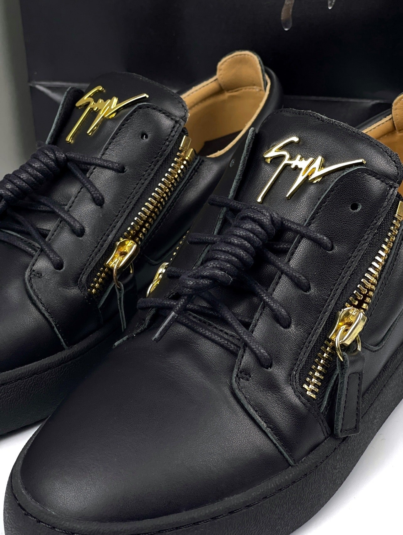 Giuseppe Zanotti
