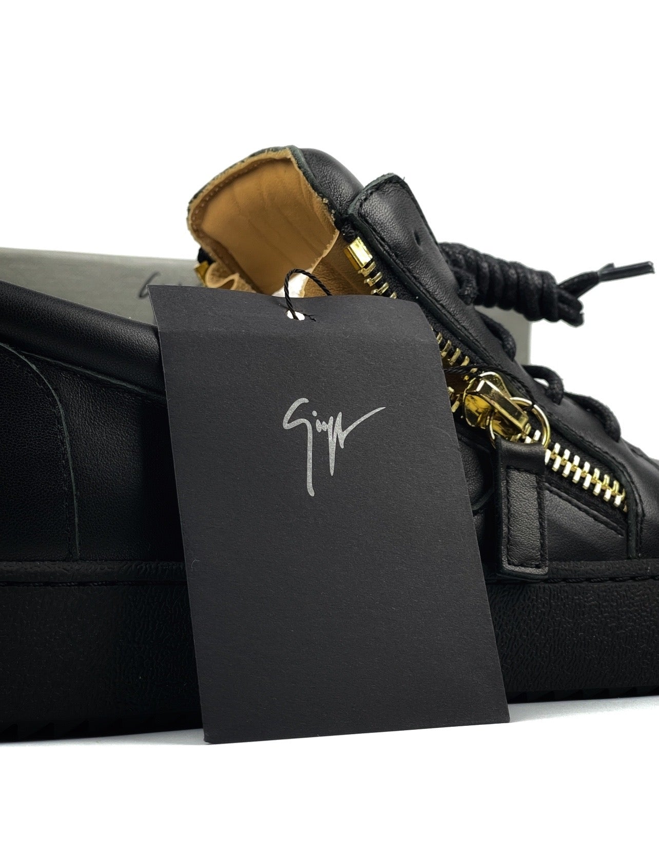 Giuseppe Zanotti